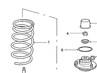 B06010 SHOCK ABSORBERS & SPRINGS  Freelander 1 (L314)