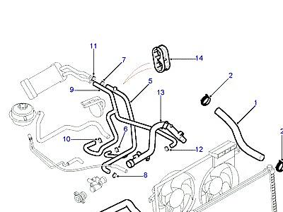 F02040 RADIATOR HOSES  Freelander 1 (L314)