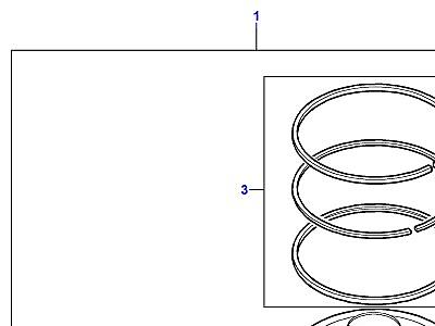 G03130 PISTONS  Freelander 1 (L314)