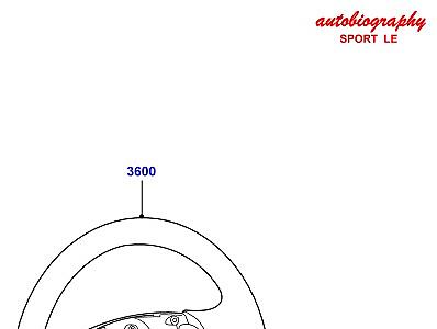 220AGH РУЛЕВОЕ КОЛЕСО AUTOBIOGRAPHY SPORT LE  Range Rover Sport (L320)