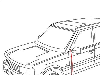 C01020 BODYSIDE FINISHERS  Range Rover (P38)