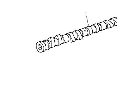 G01020 CAMSHAFT & VALVES  Range Rover (P38)